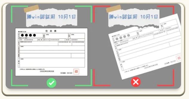 Katsuwin kyc document02
