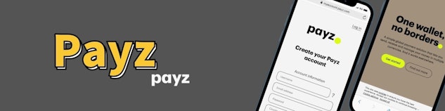 灰色の背景の中心にpayzという文字