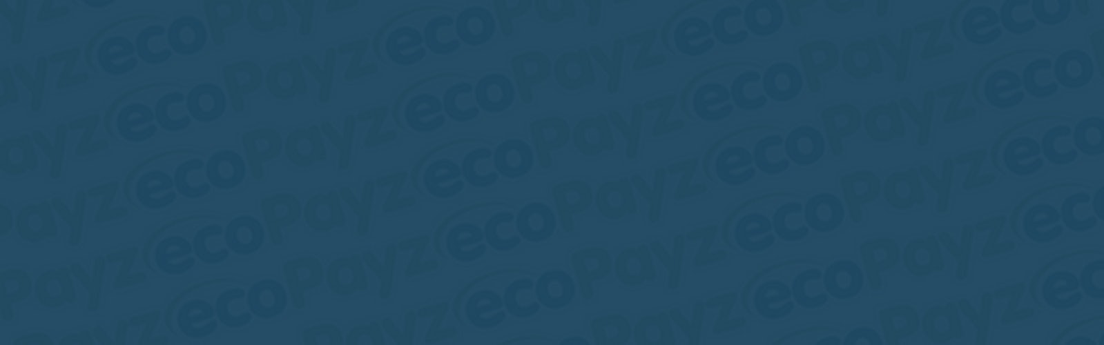 Eco Payz background